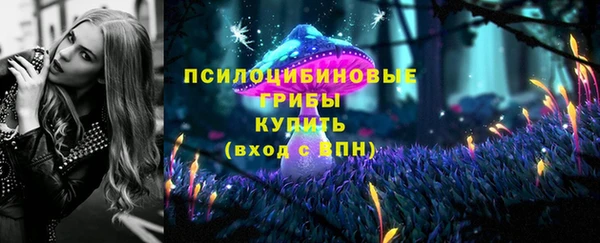 гидра Медвежьегорск